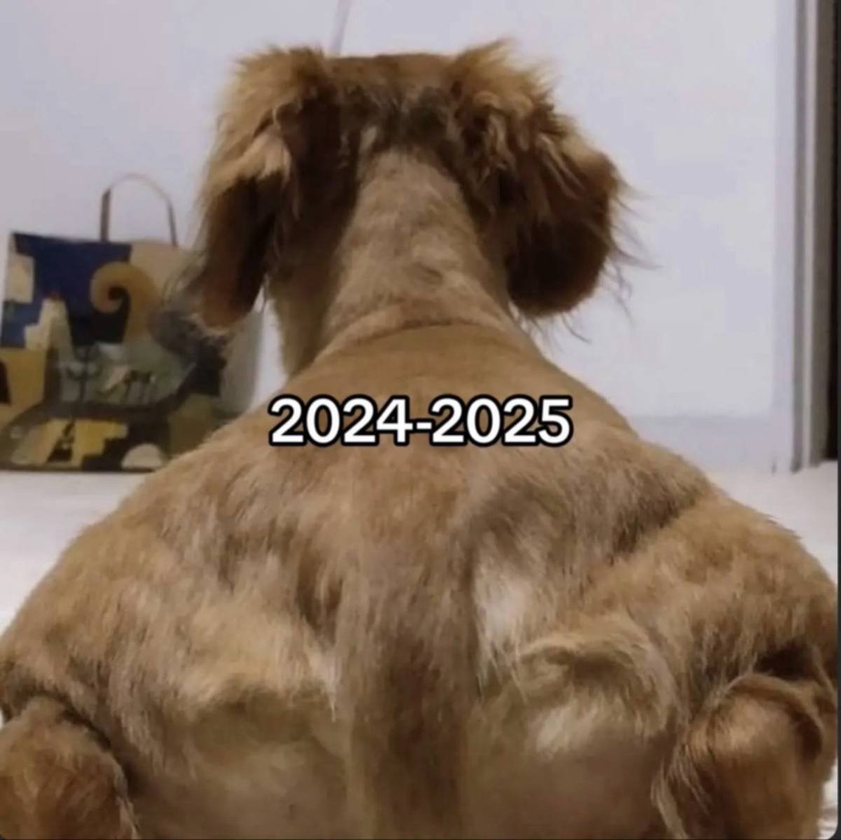 memeclubx's tweet photo. https://t.co/rBnE9y5f6D