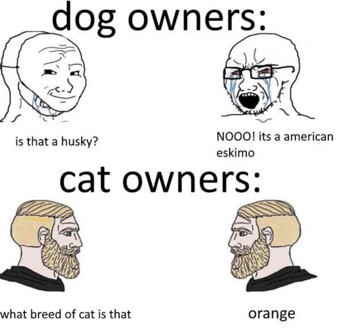 Out of Context Human Race (@nocontexthumans) on Twitter photo 