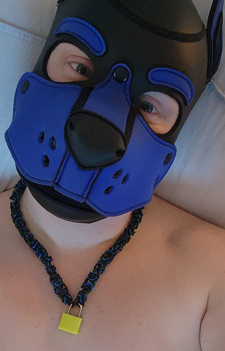 PupXems's tweet photo. Rubber up till the new year?  Probably.... https://t.co/6rH031eV3R