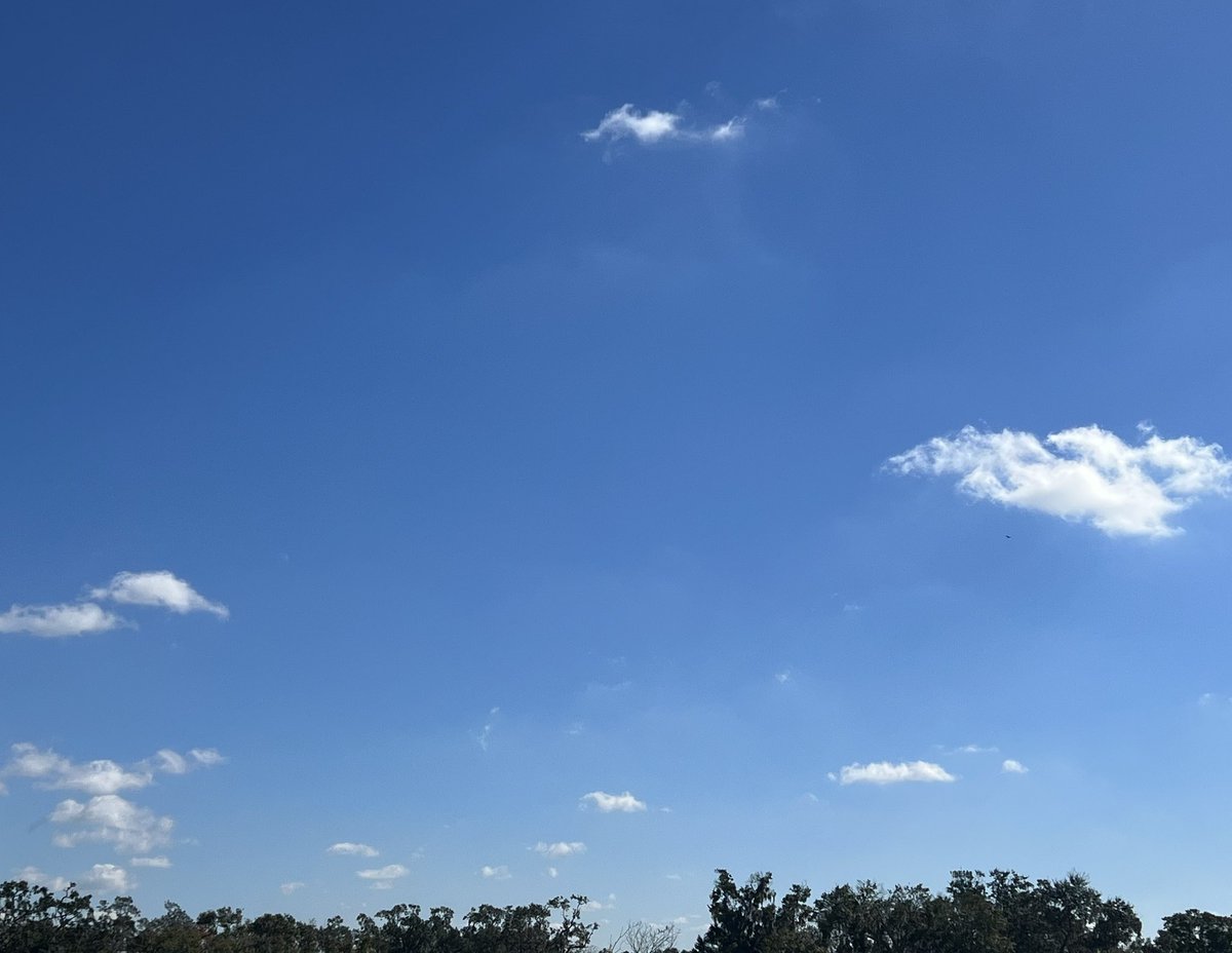 日本あけましておめでとうしてるっ！！！ こちらはまだのんびりです☁️☀️