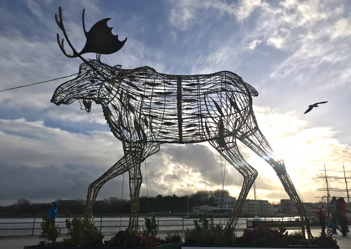 Metallelch im Ostseeabendlicht, von einer (echten) Möwe umflogen. 
#twlz