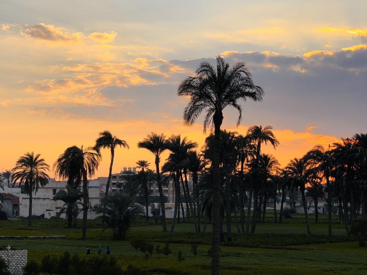 SaeedOrlando's tweet photo. #fayoum https://t.co/nCckMoTFwz