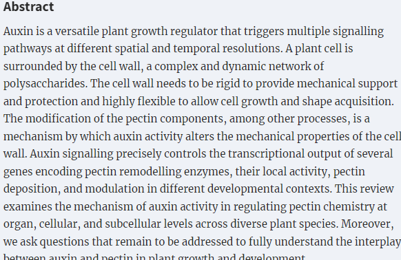 PSU_Ciencias's tweet image. #Auxin as an architect of the #pectin matrix
François Jobert, Sandeep Yadav, Stéphanie Robert. 
Journal of #Experimental #Botany, Volume 74, Issue 22, 1 December 2023, Pages 6933-6949.