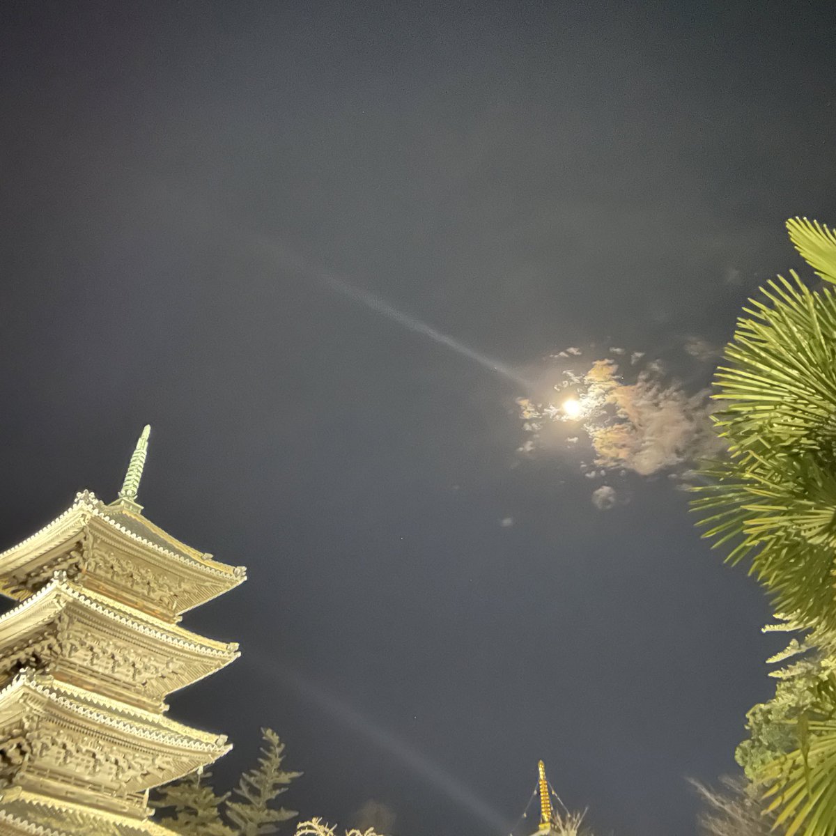 kukuru_5909's tweet photo. 今年もいい年の取り方を目指して

もうちょっと素直になることと、多少の鈍感力を身につけたいなぁ‥

はて、下書きの溜まる日はいつ終わるんだろ笑 https://t.co/rvIqZRbH6z