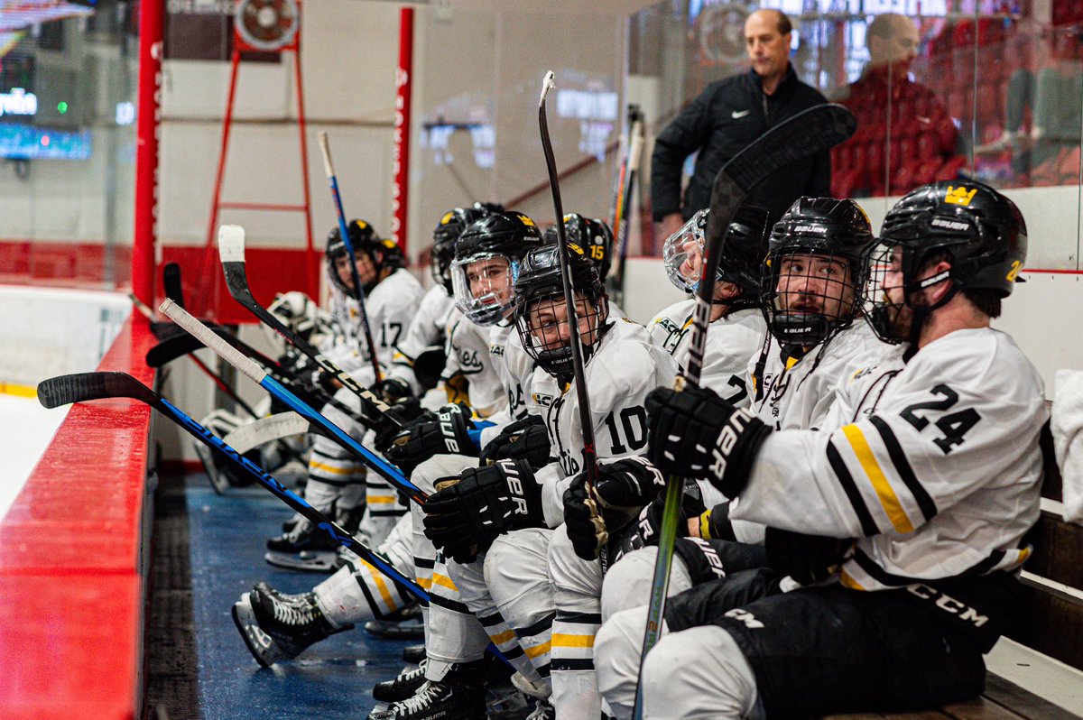 Gustavus Athletics tweet media