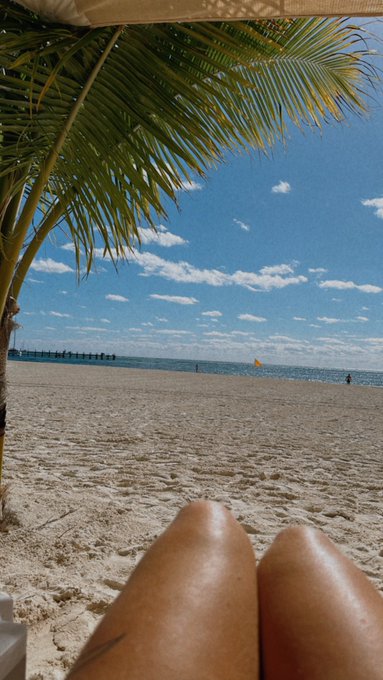 Regalito a los primeros 5 Donde estoy ?? https://t.co/ZKpPkqtYoF<a href="/tag/barbie"class="tags"><span>#barbie</span></a>