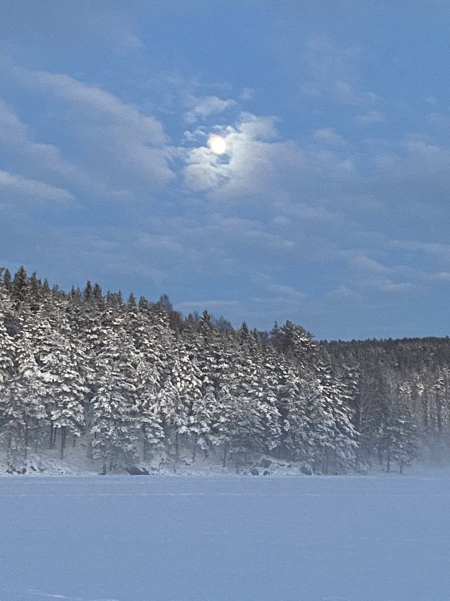 Wishing all my friends a Happy New Year and a prosperous and peaceful 2024. 
Greetings from a moonlit winter wonderland outside Oslo, Norway