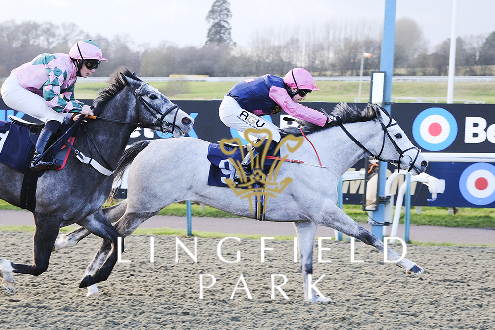 RACE 6 RESULT – Boost Your Acca-Fenwa With BetUK Handicap 🥇 Miss Moonshine Jockey: @OliverSear41482 Trainer: Rod Millman 📷: John Hoy #LingfieldPark | #QuebecStakes