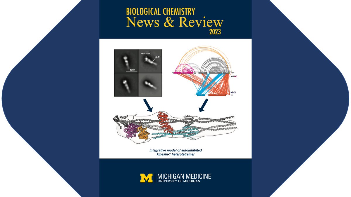 On NYEve, thanks to everyone who shares the adventure of #UMichBiolChem! Our News & Review highlights 2023’s discoveries and progress, along with our commitment to contributing to a better future for the world. Happy New Year to all, medicine.umich.edu/sites/default/…