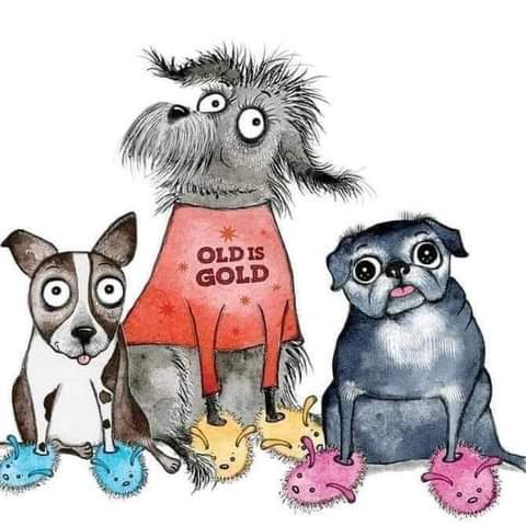 rogelio martinez 99K tweet media