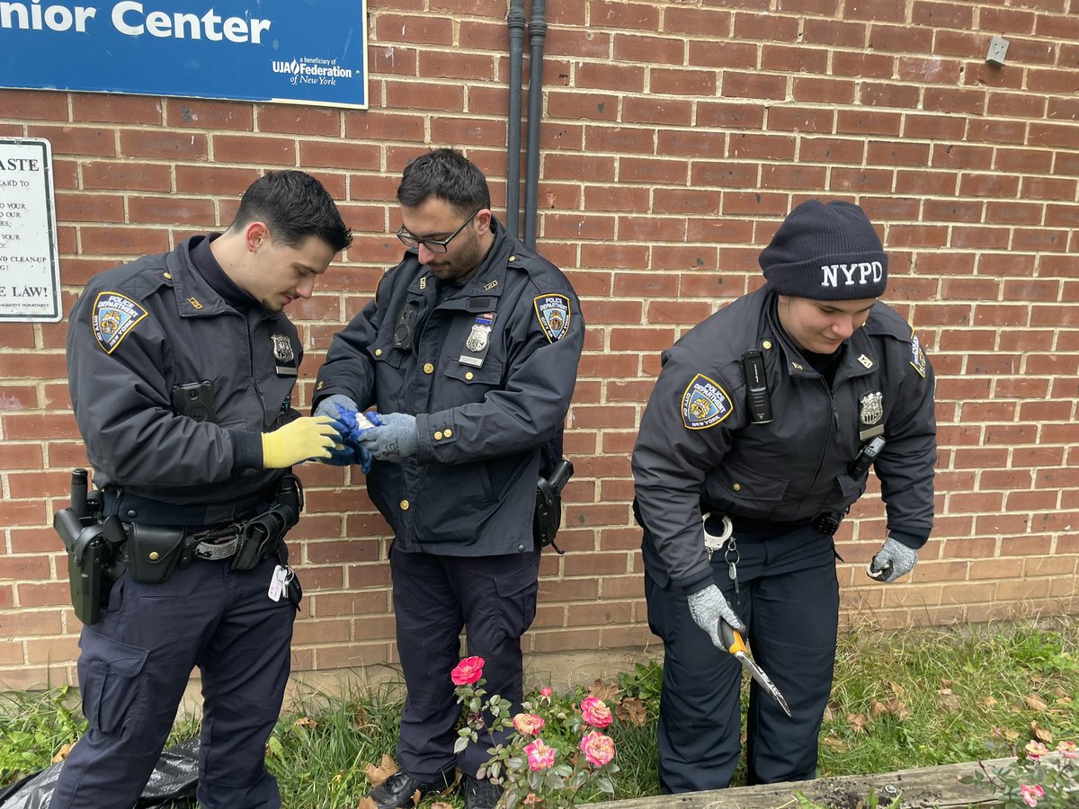 NYPD120Pct's tweet photo. Our field training officers were working today to beautify Stapleton, doing a litter clean up and preparing a flower bed for planting. Thank you to @HeathermButts for all she does to make Staten Island beautiful. https://t.co/S3rWojYx0k