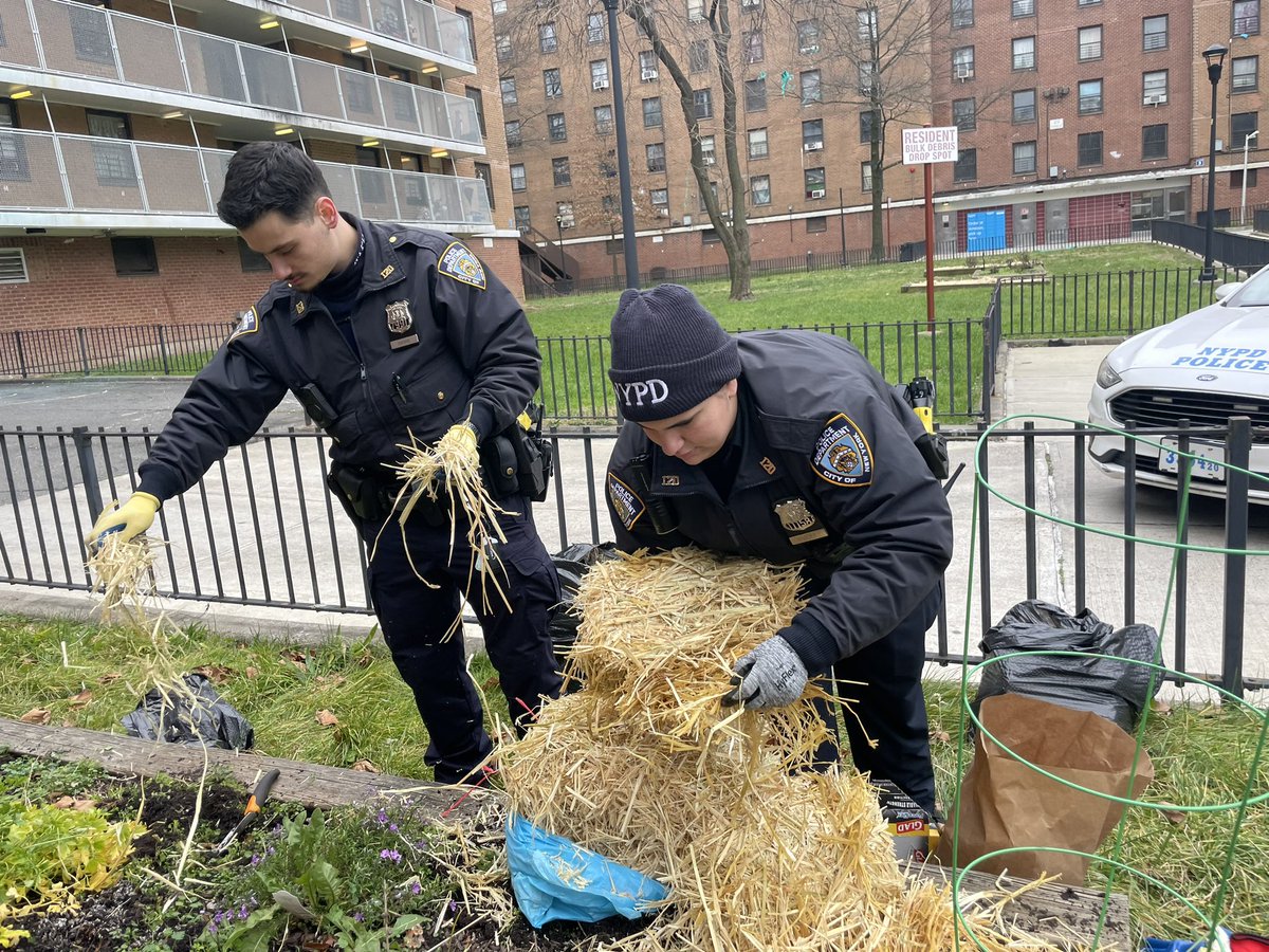 NYPD120Pct's tweet photo. Our field training officers were working today to beautify Stapleton, doing a litter clean up and preparing a flower bed for planting. Thank you to @HeathermButts for all she does to make Staten Island beautiful. https://t.co/S3rWojYx0k