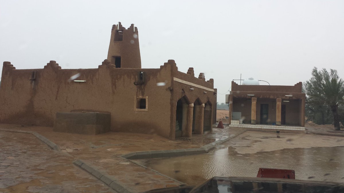 الصحيح من الأنساب tweet media