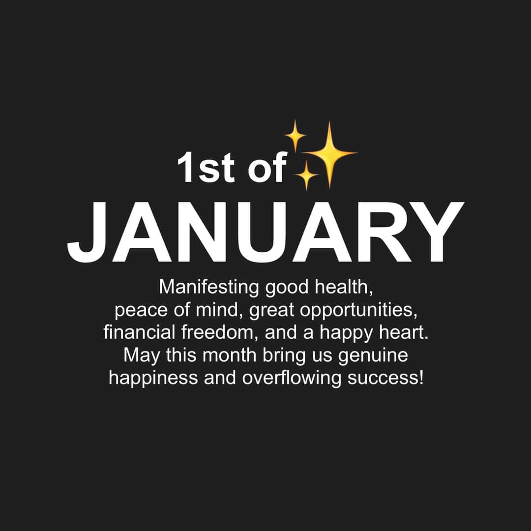 thedailymsgs's tweet image. 1st of January ✨