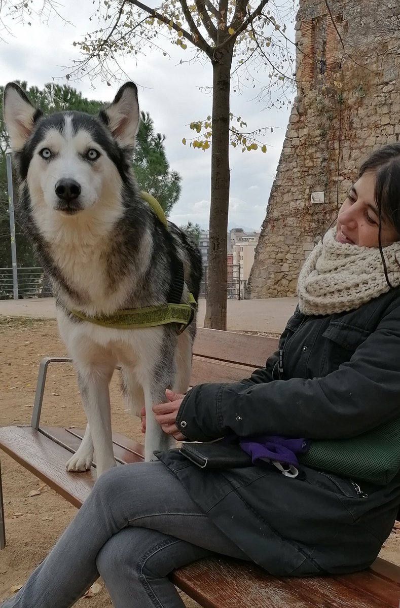 🐺💓🙆🏻
#PepaWolf
<a href="/icaladero/">Ica Ladero 😜</a>