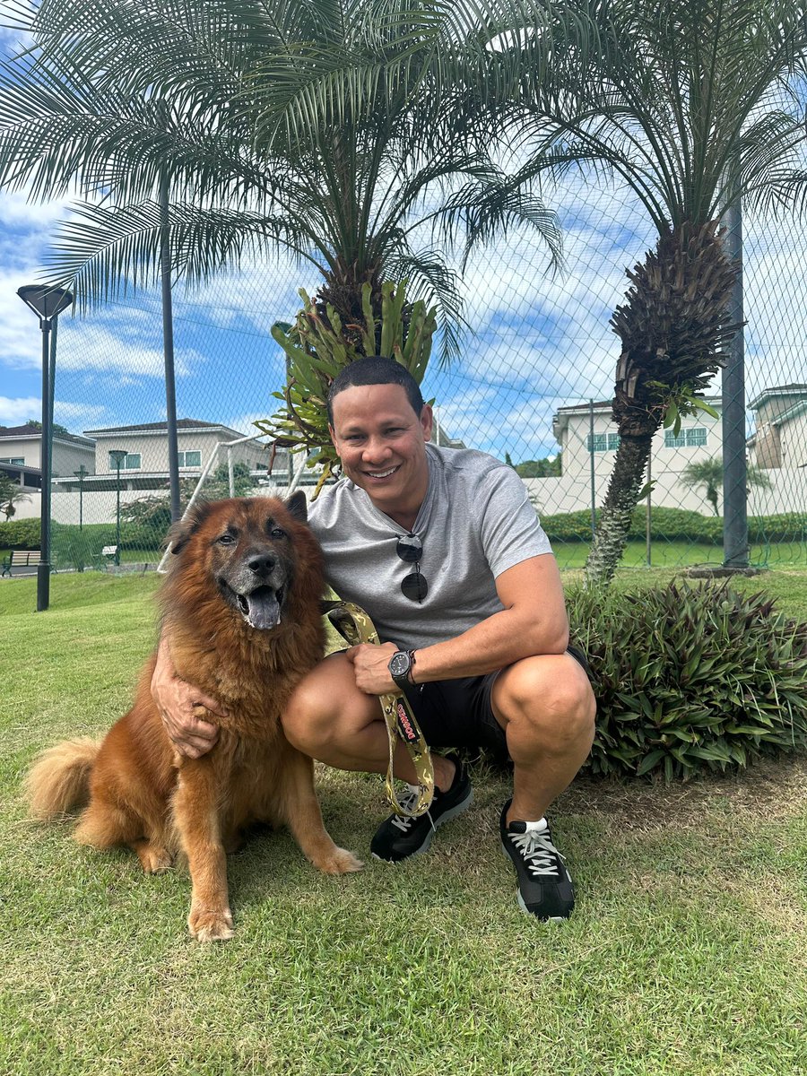 Tenemos Chuwi para rato 100% recuperado este señor 🐕

En la lealtad sincera de un perro, encontramos el consuelo más puro y la amistad más fiel. 🐾❤️ #AmorIncondicional #Chuwi