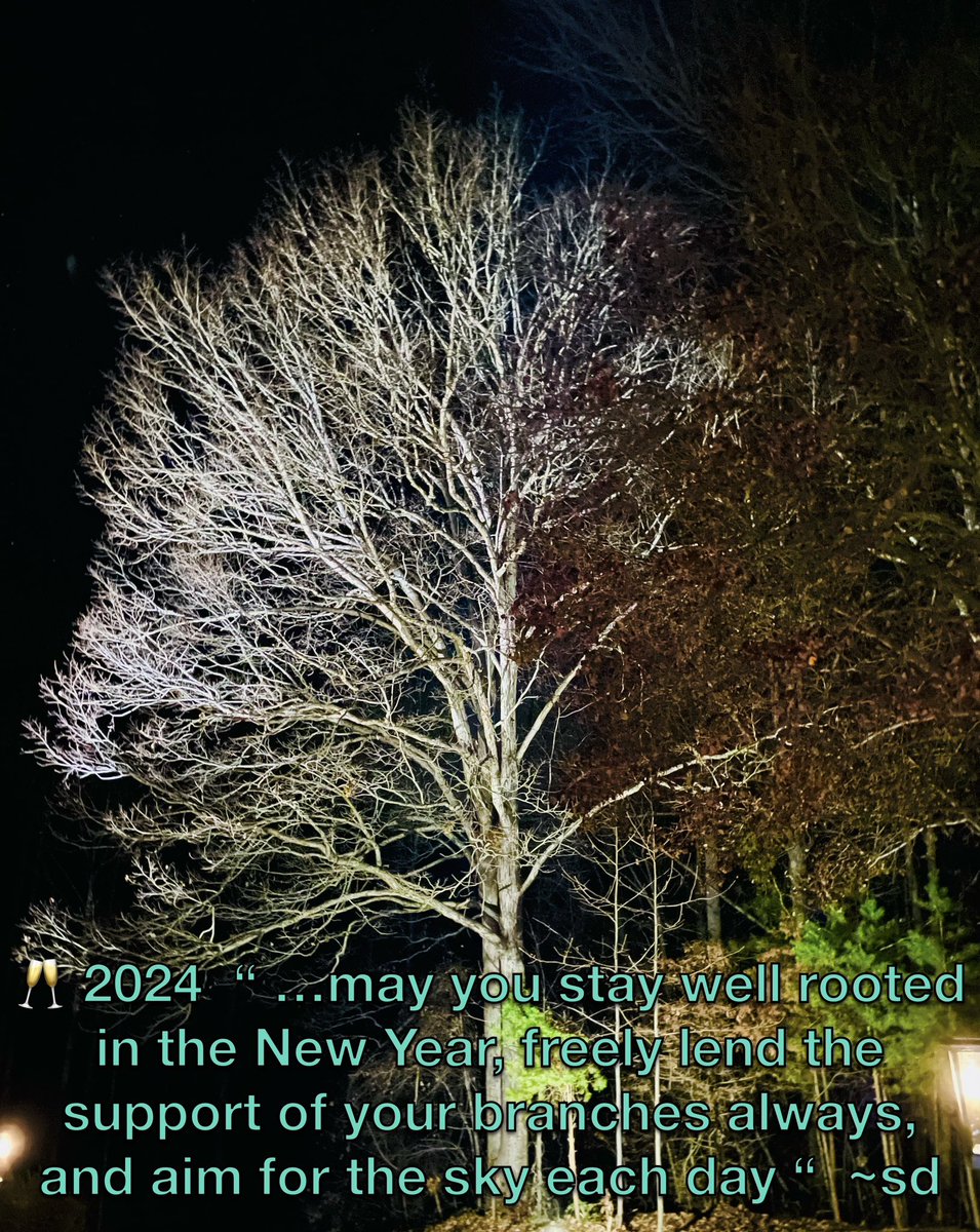 Sherry Reich tweet media