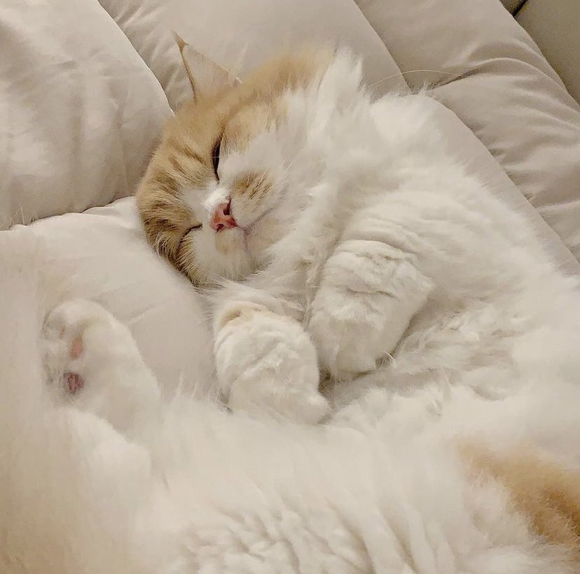 ⌇︎︎⭐️ ⁺◟🕯  𝙃𝙖𝙥𝙥𝙮 𝙉𝙚𝙬 𝙔𝙚𝙖𝙧 !   ⸝⸝⸝🧤🥛꒱

                 the first page of 2024

                                   ♡

— have a sparkling New Year! Wishing you good times, good health, good cheer.