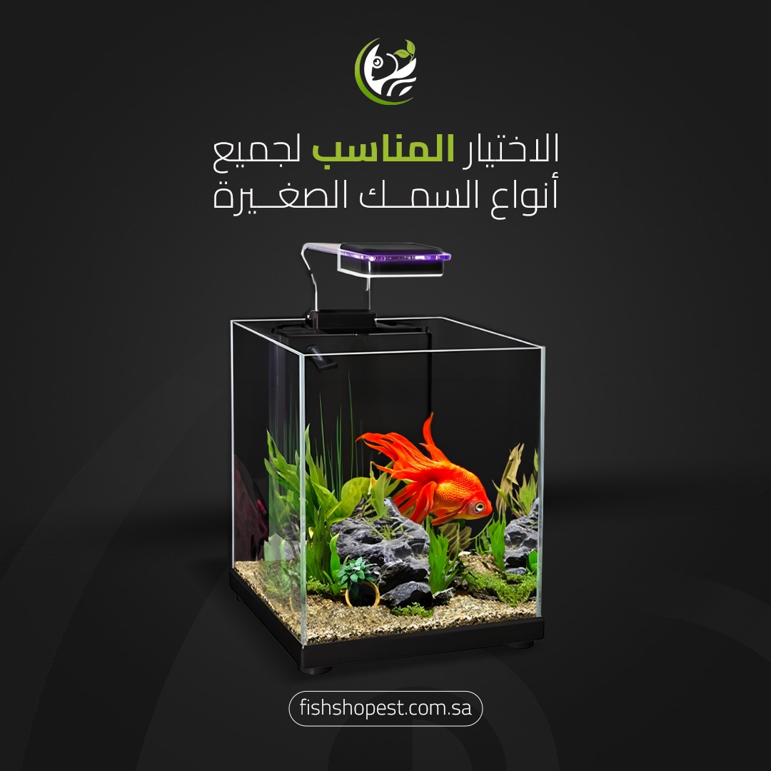 متجر تربية أسماك الزينة tweet media