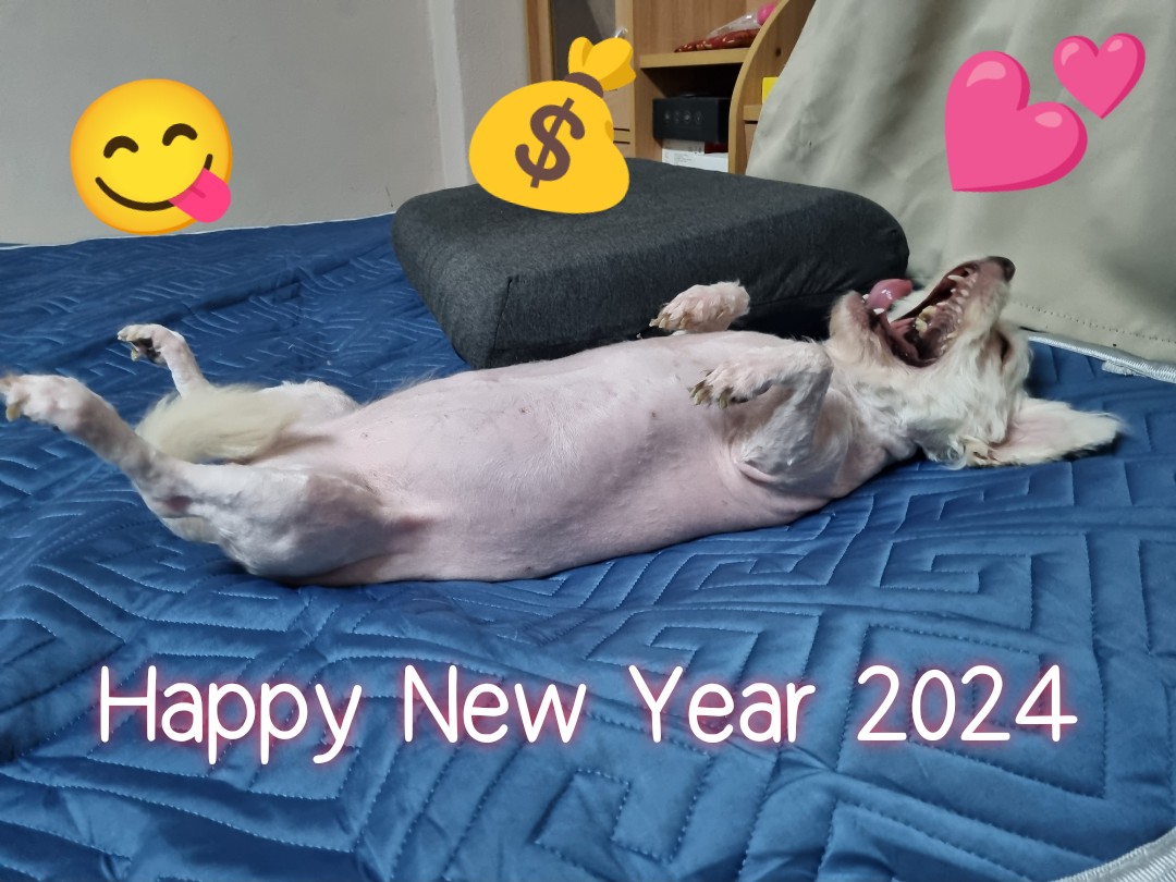 authapon's tweet photo. 🫰 Happy New Year 2024 ❤️ https://t.co/987gxy089I