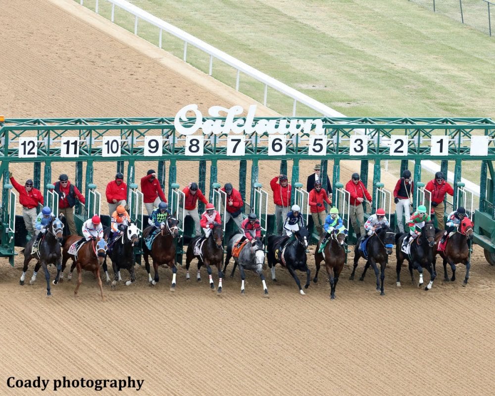 myrailbirds's tweet photo. Betting Oaklawn🏇: What to Watch, and How to Bet on the Year's End Stakes

@ChrisLomon delivers his #bettingtips 💰 for Race 9 #YearsEnd Stakes out of @OaklawnRacing on Sunday.

Read 📖 it here- https://t.co/ZQkju1sm4t 

Good luck &amp; #HappyNewYear 🎉 https://t.co/mzZmF0Uyaf