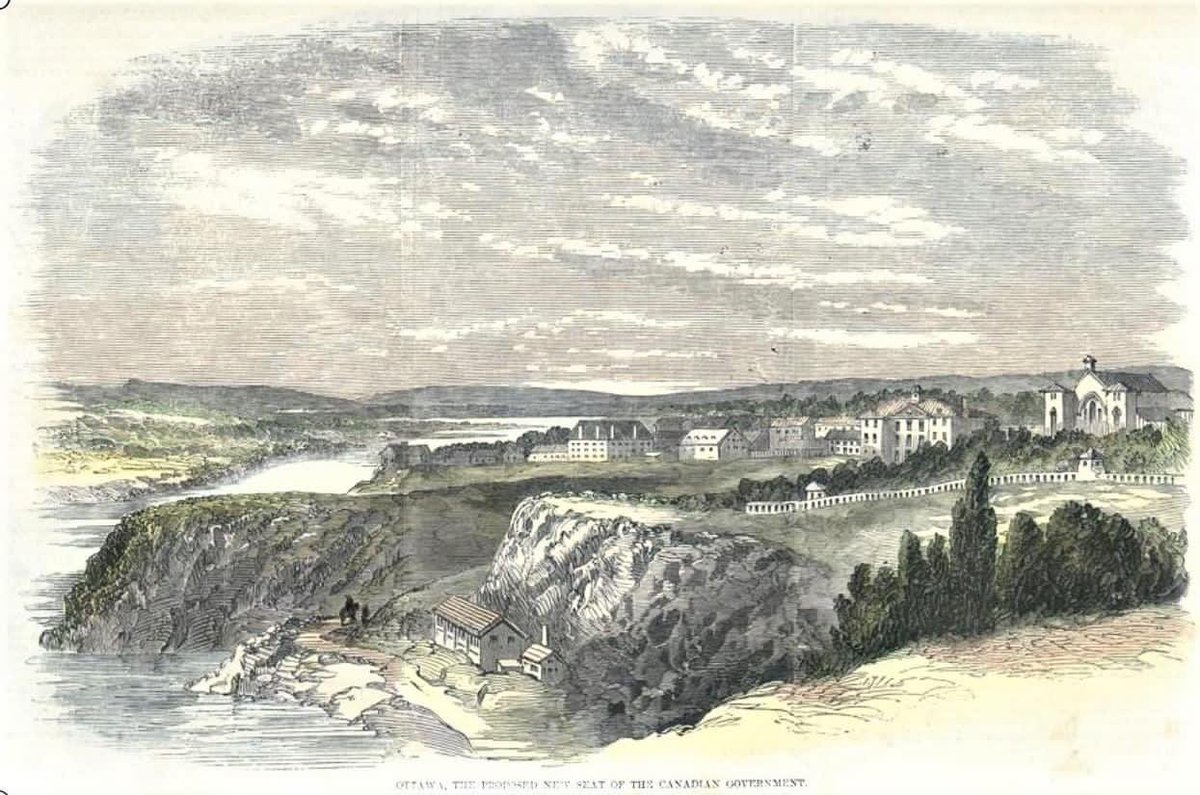 The Maple Crown 🇨🇦 tweet media