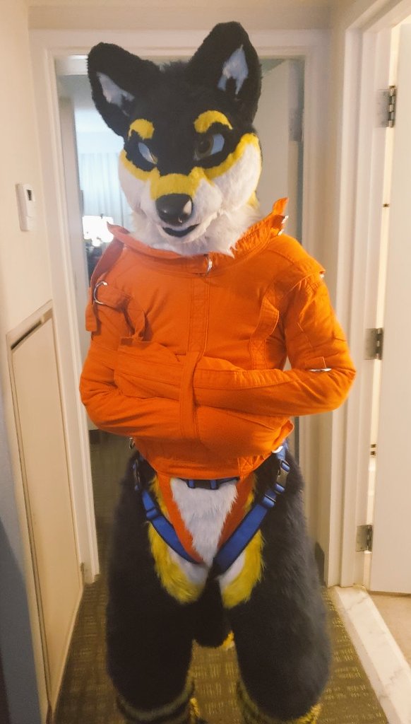 Let's go crazy~
Let's get nuts~~~

Let's look for the purple banana
until they put us in the truck, let's go~~🎶

📸: <a href="/BladeFoxxy/">Blade_The_Fox</a>