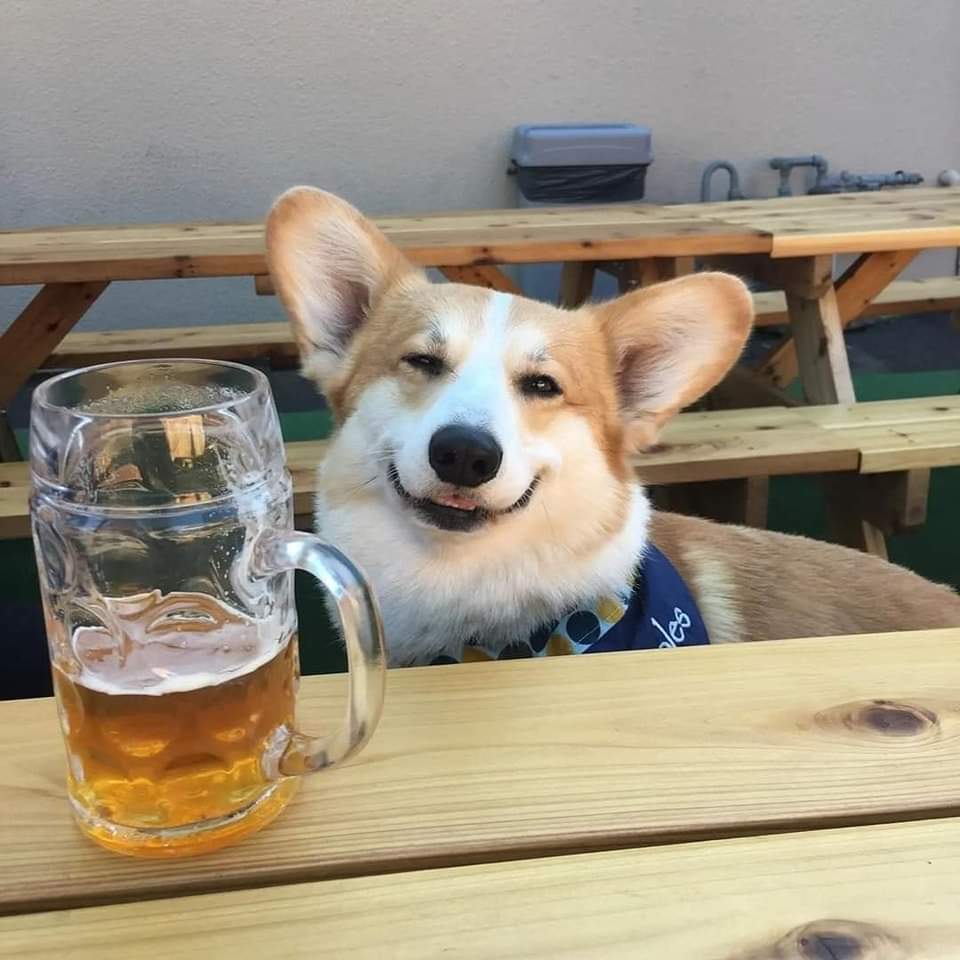 Amanda (@theladyjade42) on Twitter photo 