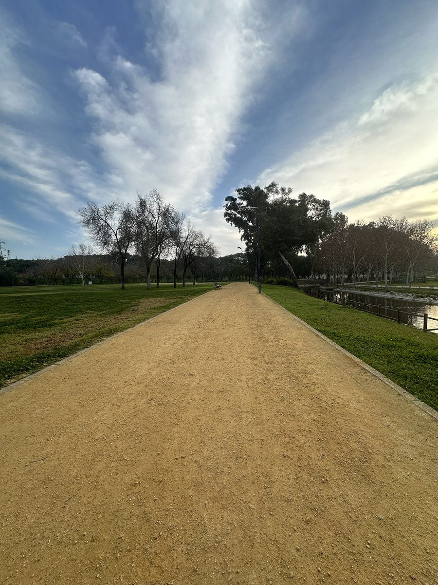 Miguelsuxx's tweet image. Último rodaje del año, hoy ha caído el último 10K. Que de kilómetros hago al cabo del año. 
Vamos a por el nuevo año y a seguir corriendo como siempre 💪🏼🏃🏻‍♂️ Este 2024 promete mucho 🫢

#Feliz #NoPiensesCorre #IWorkOut #Ican #Run #Runner #Running #Atletismo #Sevilla