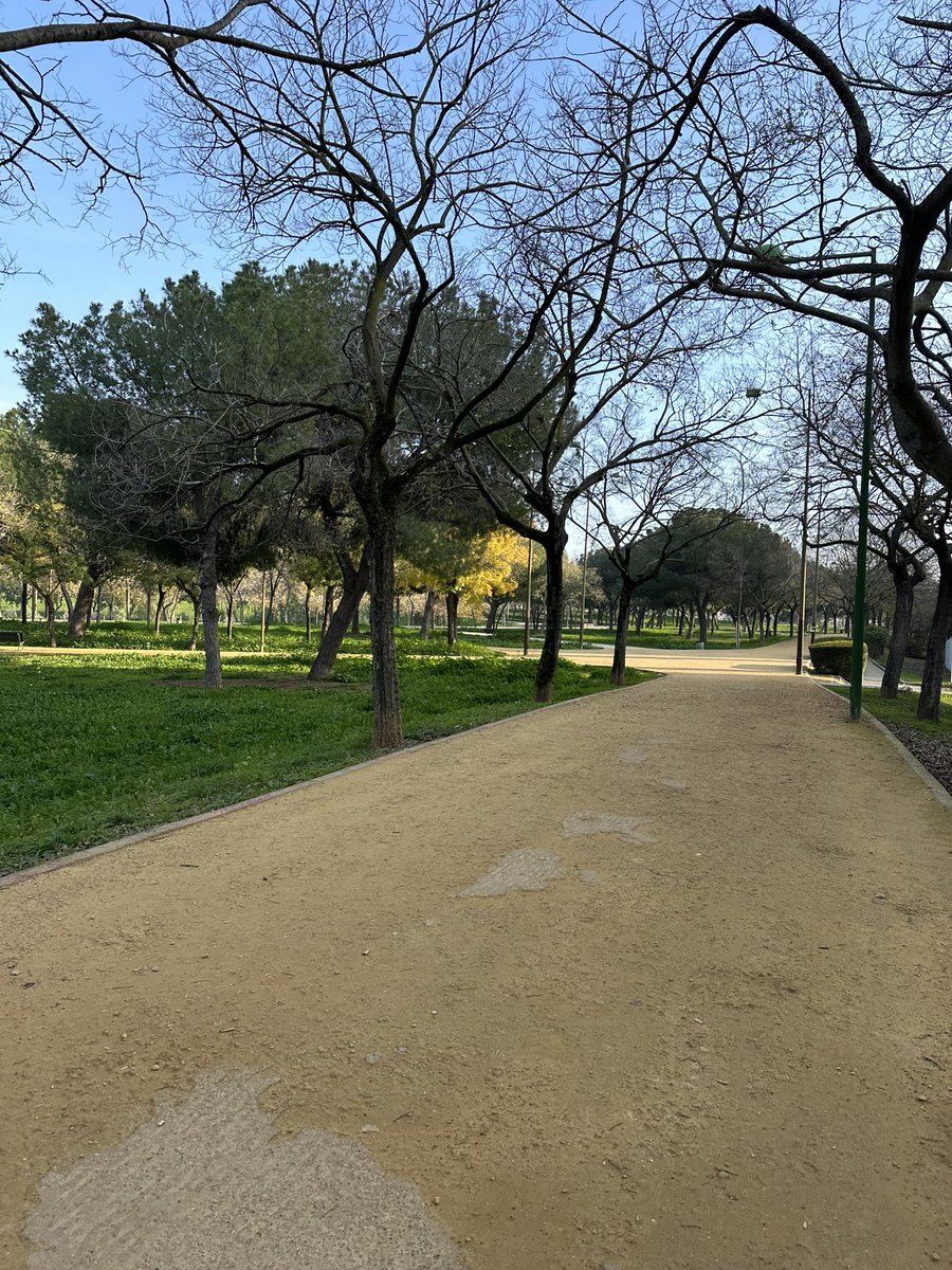 Miguelsuxx's tweet image. Último rodaje del año, hoy ha caído el último 10K. Que de kilómetros hago al cabo del año. 
Vamos a por el nuevo año y a seguir corriendo como siempre 💪🏼🏃🏻‍♂️ Este 2024 promete mucho 🫢

#Feliz #NoPiensesCorre #IWorkOut #Ican #Run #Runner #Running #Atletismo #Sevilla