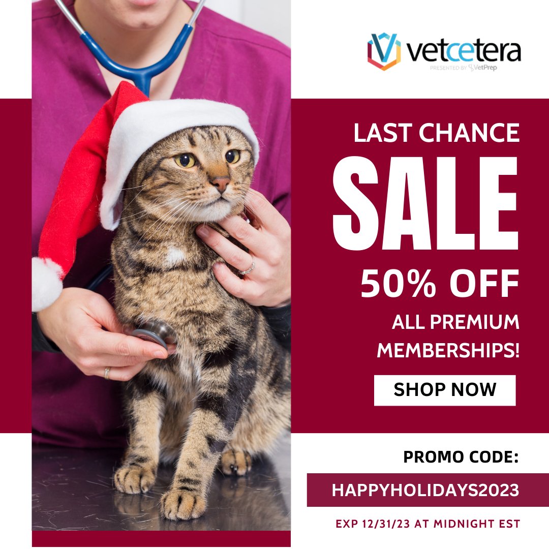 Vetcetera tweet media