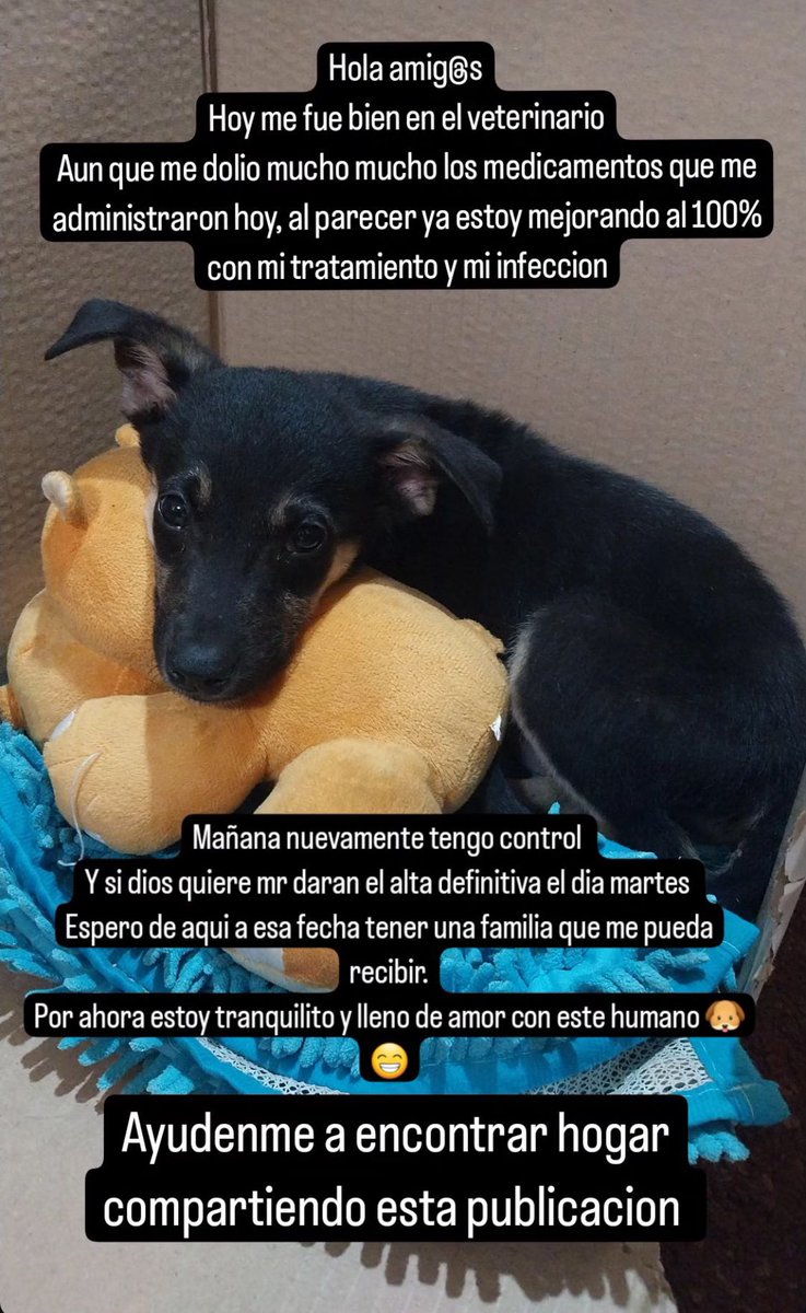 🌷Vane🌷 tweet media