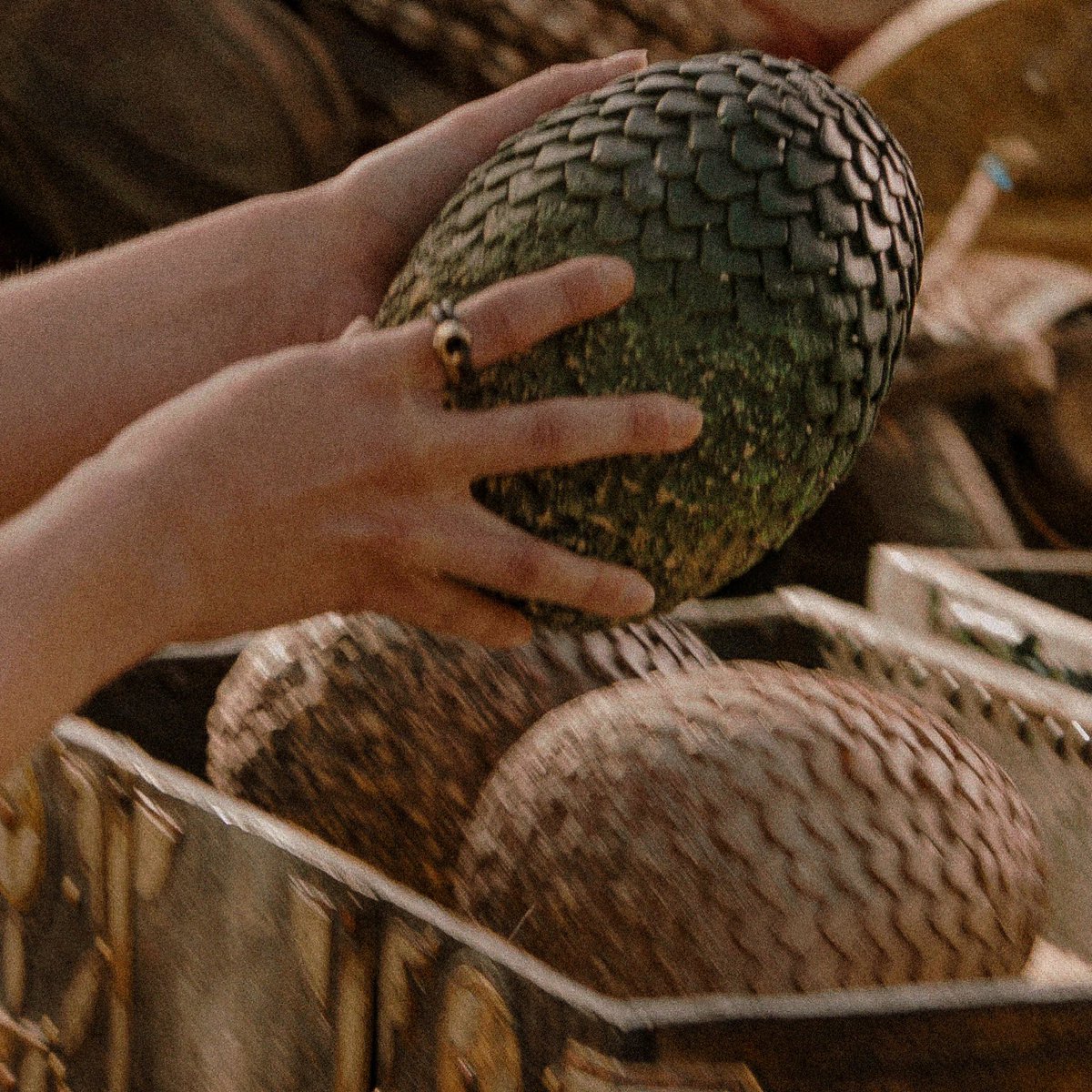 daenerys files (@daenerysfiles) on Twitter photo 