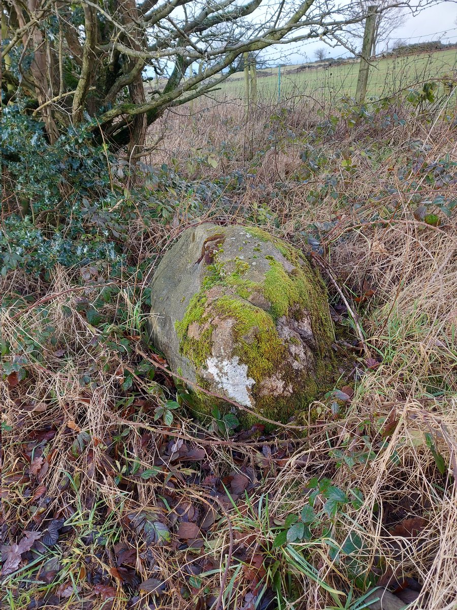 RobertHamnett's tweet photo. Found this for the first time today - the glacial erratic boulder at the top end of Pyegrove park. A wonderful gift from the north via an Ice Age or two. #Glossop #WhereWhen https://t.co/o8Mdo2EP87