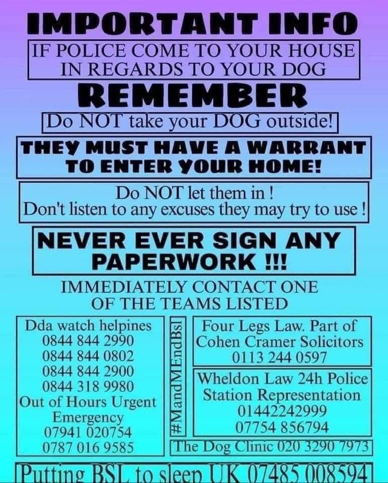tracymilton's tweet photo. As the dreaded day looms upon many of you….just a reminder of what to do if you were to have a visit!
#xlbully #bullybreed #bully #xlbullies #bullylove #dogs #xlbullypuppy #bullyban #dontbullymybreed #bullyworld #americanbullyxl #bullies #xlbullyuk https://t.co/u8CQczPfyE