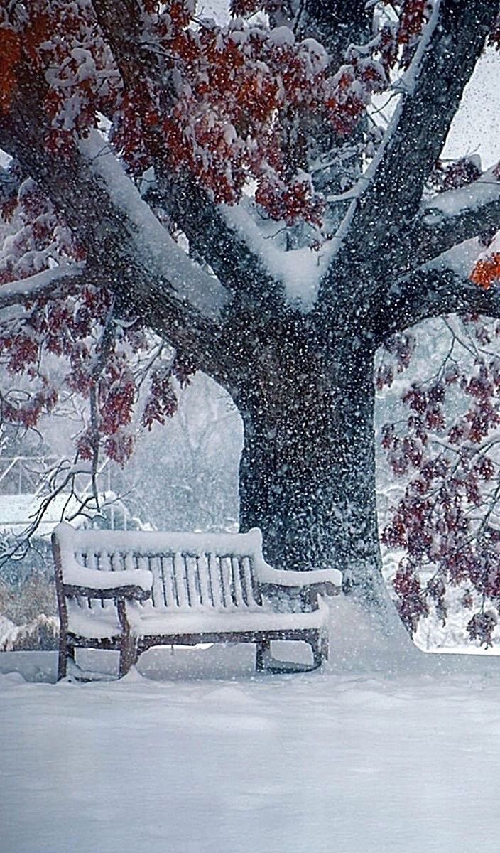 <a href="/GEdelDrake/">🌹Gwendolyn🌹</a> <a href="/Alisazvezdica99/">Alisa</a> <a href="/Awan26M/">m bashir awan</a> <a href="/Kilmetro/">Eugenia J.Castelló</a> <a href="/mohsinmalvi19/">Mohsin Alvi</a> <a href="/MrNaassir/">🇵🇰Nasir💕Uddin🇺🇸</a> <a href="/cliffping/">cliff ping</a> <a href="/Me_Konika/">Kanika Basak</a> <a href="/DermottAnn/">Ann Dermott</a> <a href="/Luisaolvera2/">Luisa olvera Torres</a> <a href="/SuzanneLepage1/">Suzanne Lepage</a> <a href="/GCHDutta/">G C Dutta</a> <a href="/courtlands/">Sile</a> <a href="/WaringJudy/">Judy Waring</a> <a href="/SherryBretz05/">Sherry</a> <a href="/sywnps/">sue white</a> <a href="/WalterHomeroPe4/">Walter Homero Perez</a> <a href="/RENARD5149/">Didier</a> Happy New Year dear friends!
Have happiness !
🤗💚🩷☘️🎶