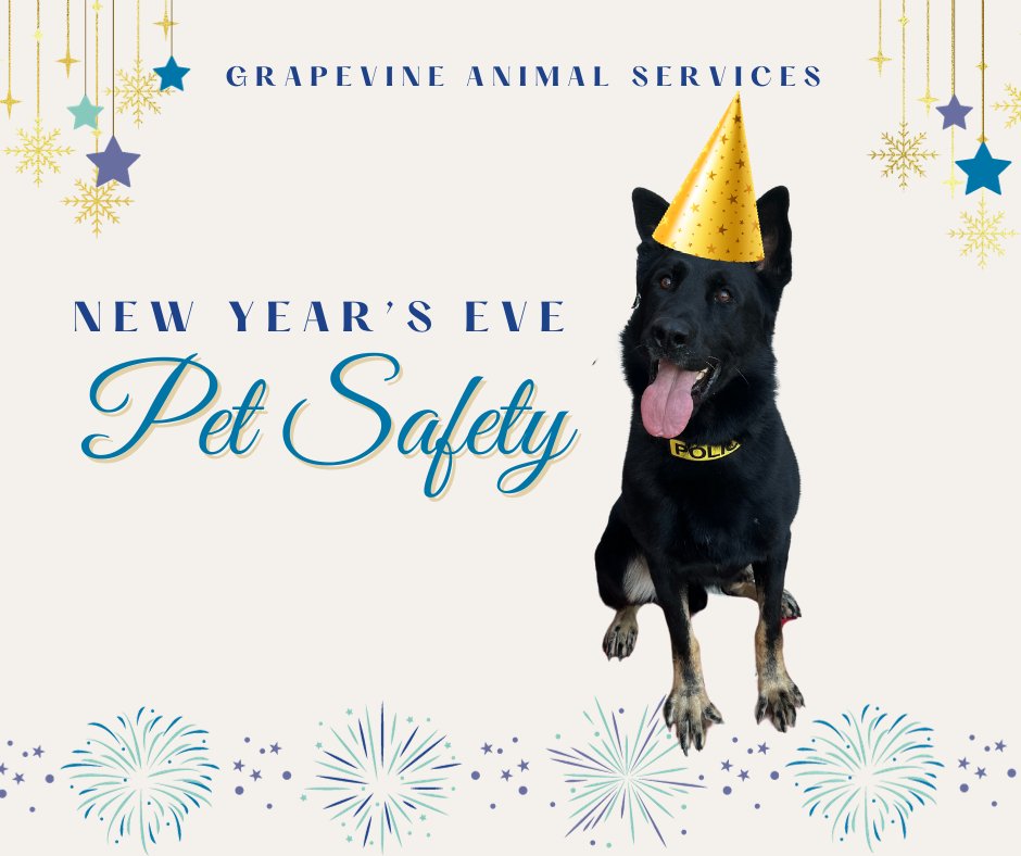 Wishing you and your pets a safe and happy New Year's Eve. Remember:
❤︎ Loud noises may be scary or overwhelming. Give pets a quiet space to relax.
❤︎ Keep all drinks and party snacks out of reach.
❤︎ Make sure your pets are microchipped and wearing collars with tags.