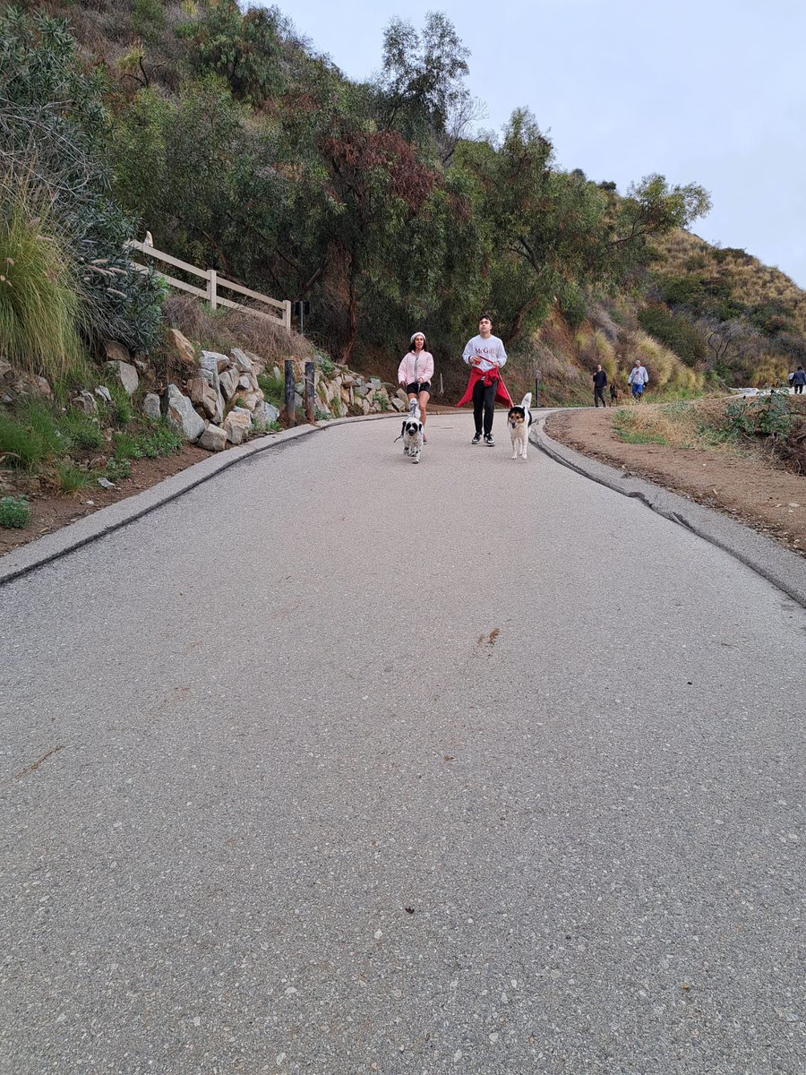 DrMarthaGulati's tweet photo. New Years Eve spent with my 🇨🇦Canadian nephew making him run up and down #runyoncanyon for the sunrise (sort of!) in #WeHo #LosAngeles @TrudeauGulati 

@HeartOTXHeartMD @Libbyextra @bjcohenmd @AnastasiaSMihai @JGrapsa @JamalRanaMD https://t.co/RewLMRMTJd