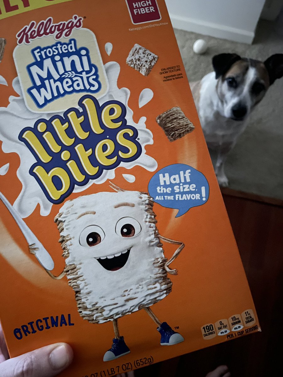 He walked so Pop Tart could run.