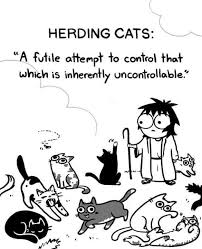 Sin descargar ninguna nueva foto ¿cuál es tu energía para entrar en 2024?