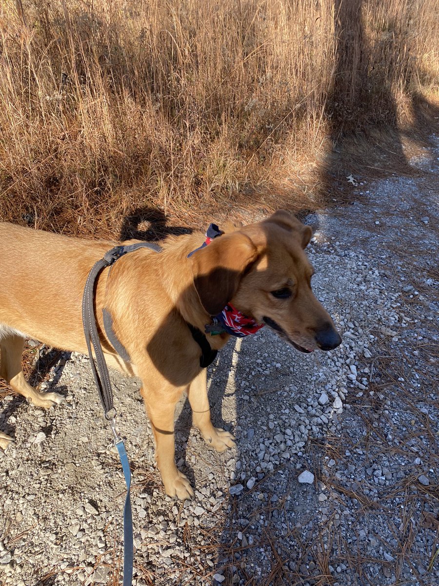 snaild_it's tweet image. NYE hike