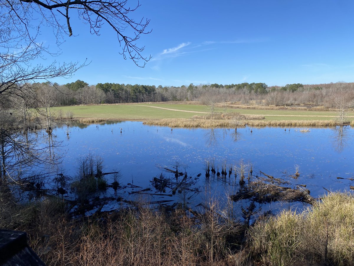 snaild_it's tweet image. NYE hike