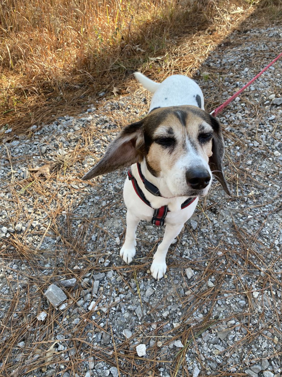 snaild_it's tweet image. NYE hike