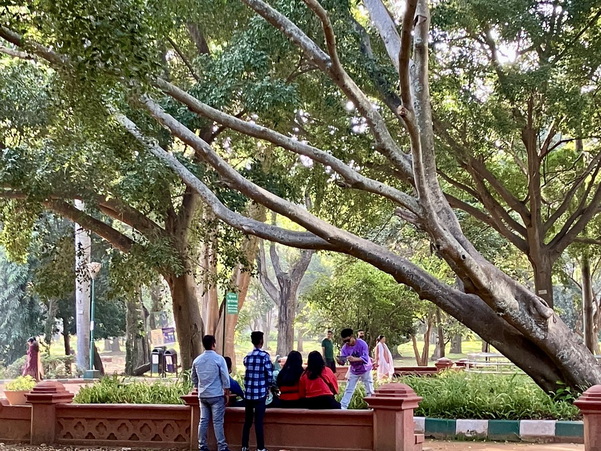 Happy 2024! Like these magnificent trees, I sincerely hope we can provide shade and shelter to each other as we resist injustices and continue to work toward social justice with greater compassion. Image: Lalbagh, Bengaluru, India, December 31, 2023.