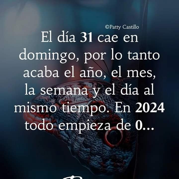 Leon Judith tweet media