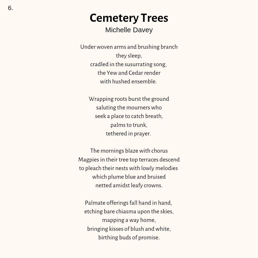 The Cockney in the Countryside 📖 👩‍🏫 tweet media