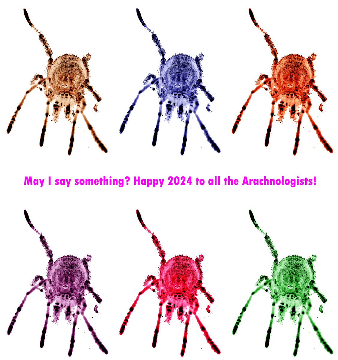 Happy 2024 for all arachnologist, as well as all taxonomist, cavers, biologist and nature lovers sensu lato! And of course, to all friends, colleagues anf family! Cheers! 🥂🍾