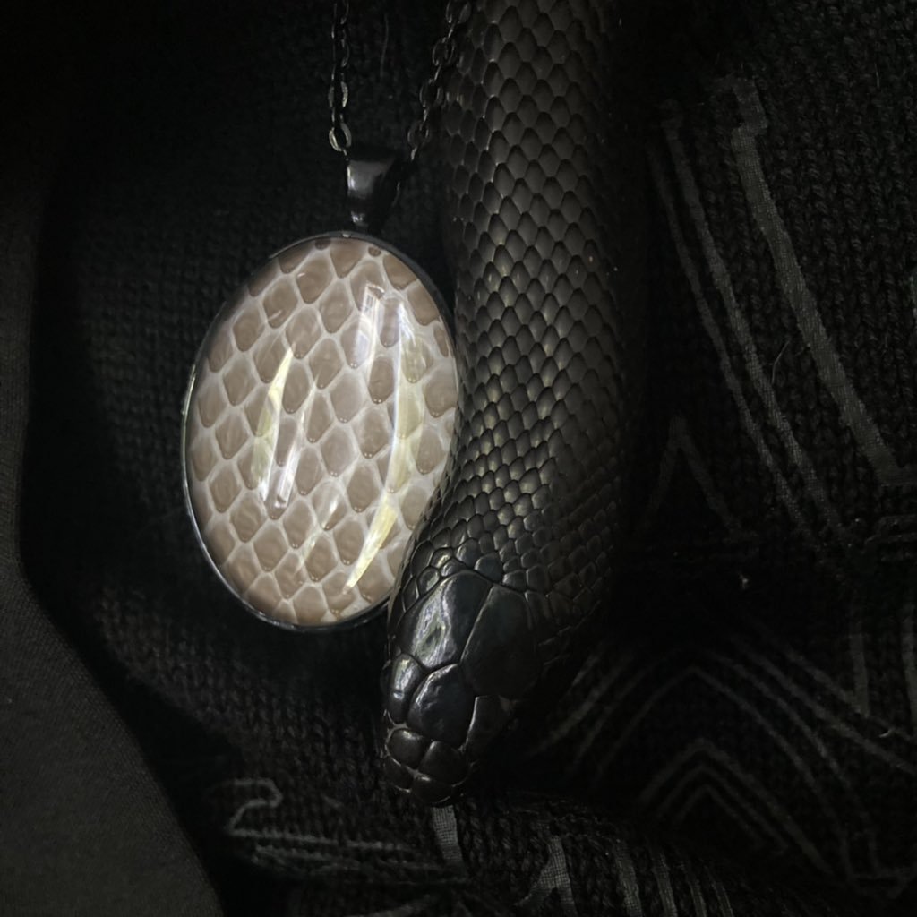 SnakeHour's tweet photo. Very good goth noodle🐍🖤 The necklace is made out of his shed! (what species is this?) https://t.co/de4HuGdjpA