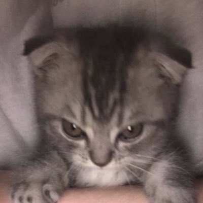 rolexfps's tweet photo. #NewProfilePic https://t.co/pyMaxDcSPc