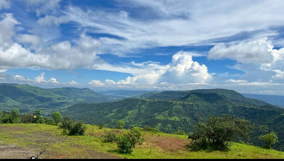 nandanyardi's tweet image. Holiday Wishes and
A Happy New Year from Mahabaleshwar hills and forests